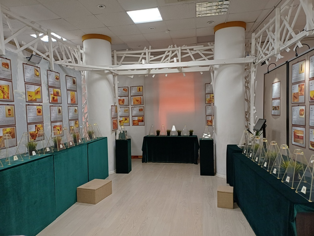 Выставка «Капсула времени»