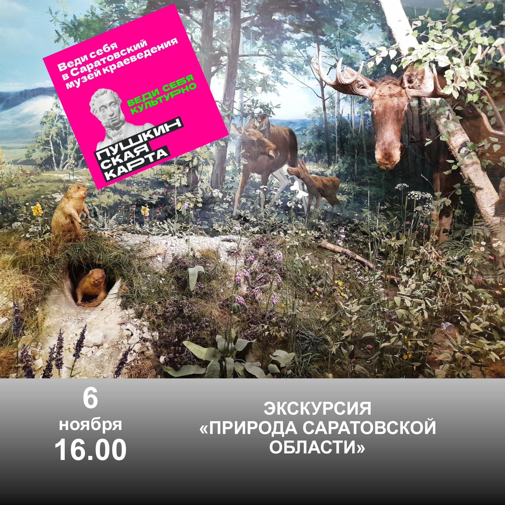 ЭКСКУРСИЯ &#171;ПРИРОДА САРАТОВСКОЙ ОБЛАСТИ&#187;