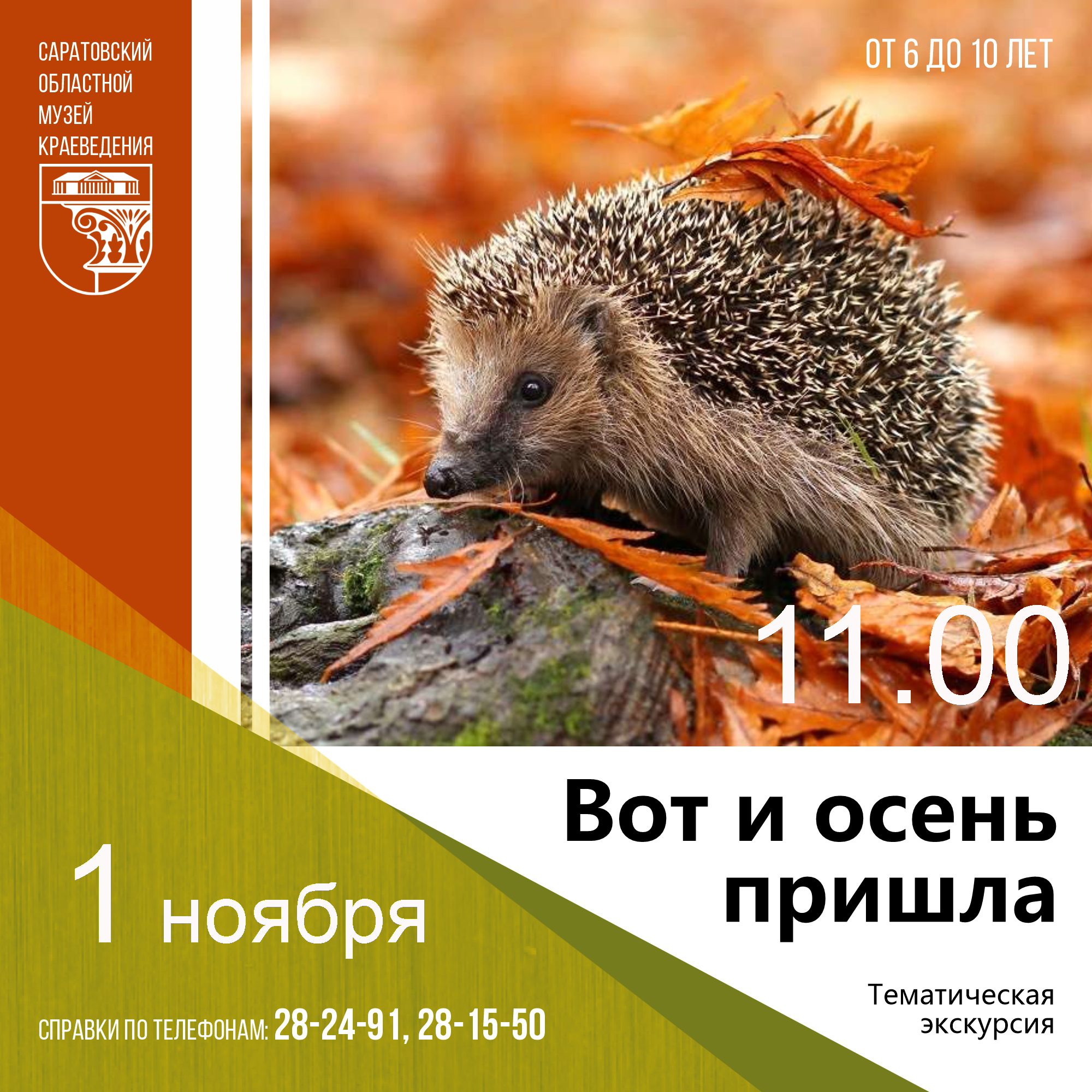 Экскурсия &#171;Вот и осень пришла&#187;